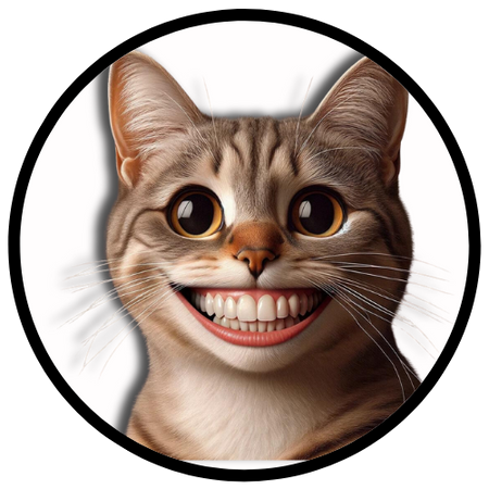 Gato